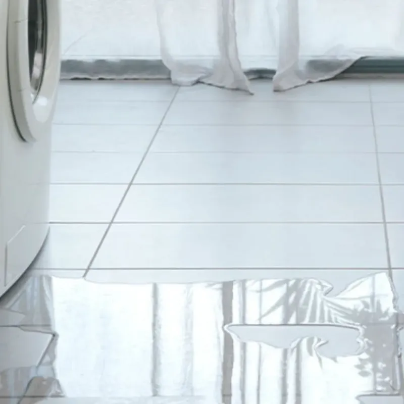 Appliance Leak Cleanup in Stony Point, MI