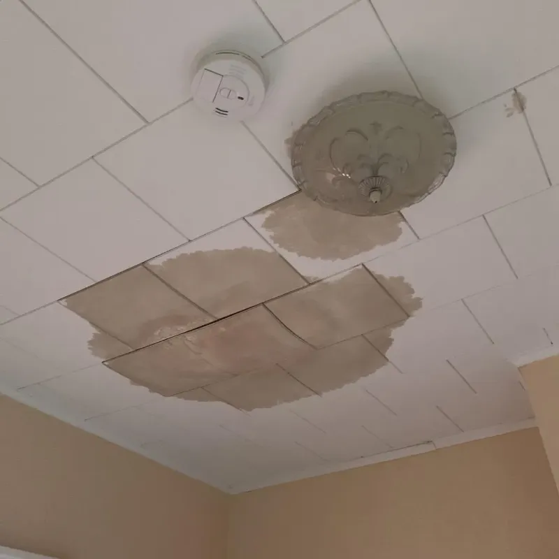Ceiling Water Damage Repair in Stony Point, MI