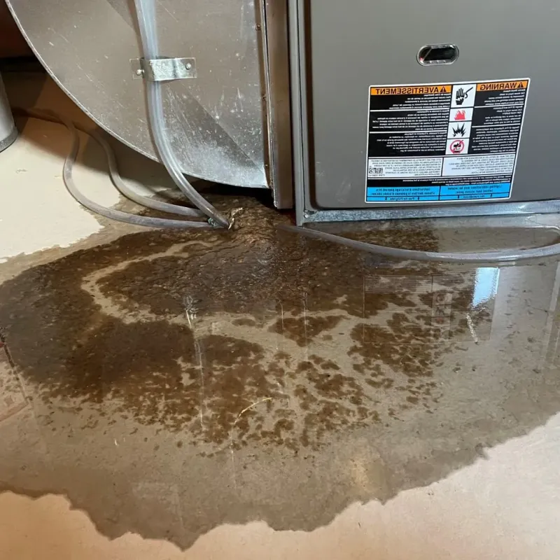 Pipe Burst and Leak Restoration in Stony Point, MI