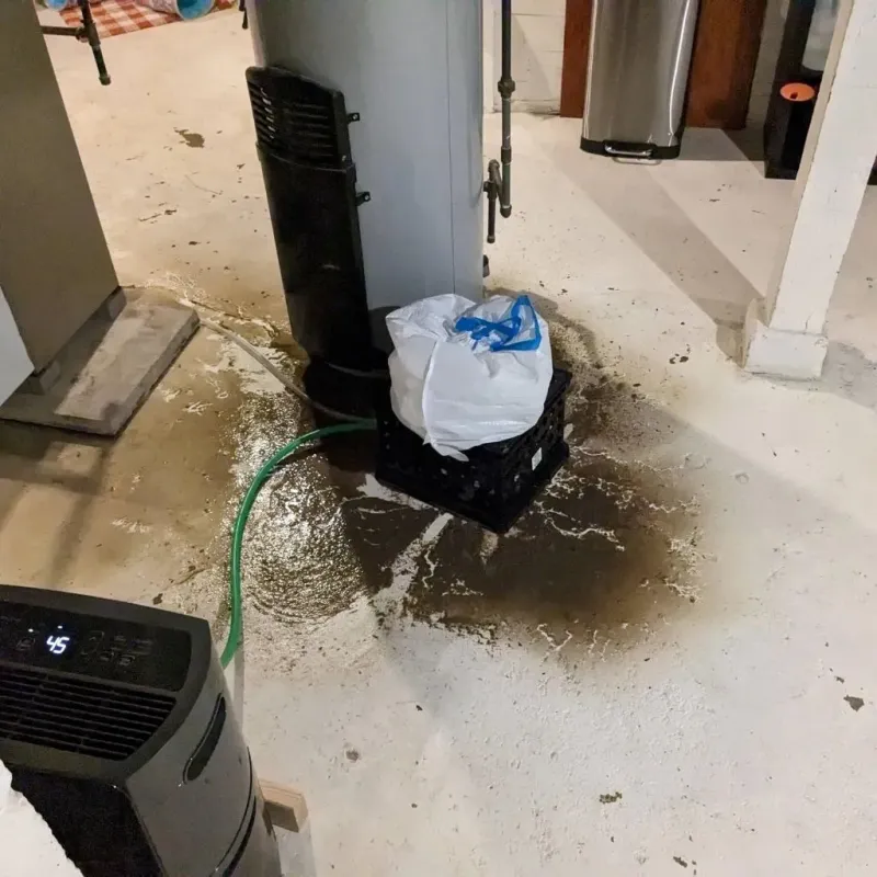 Sewage Backup Cleanup Service in Stony Point, MI